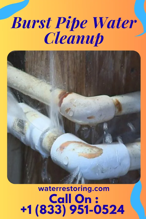 Burst Pipe Water Cleanup in Lititz, PA