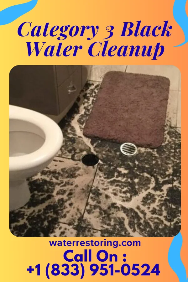 Category 3 Black Water Cleanup in Lititz, PA