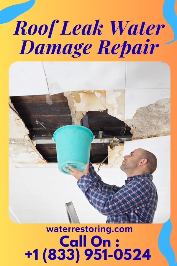Roof Leak Water Damage Repair in Lititz, PA